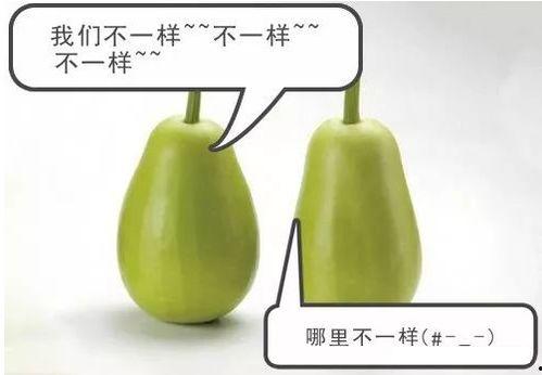 浅安吃瓜,揭秘娱乐圈那些不为人知的幕后故事