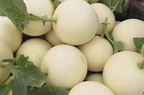 吃瓜典故,揭秘网络热传典故背后的故事