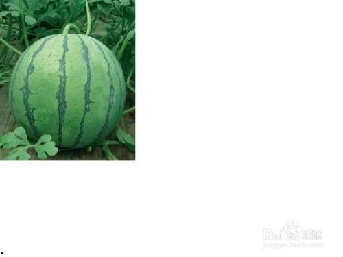 山野泡泡吃瓜事件,揭秘网络舆论背后的真相