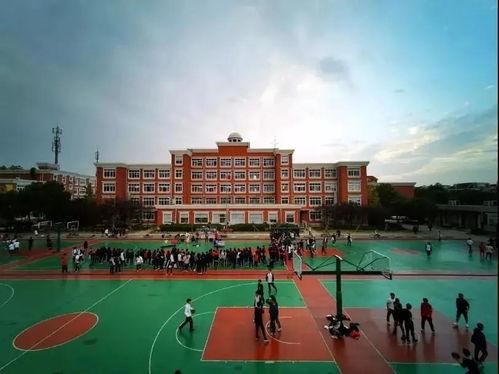 上海建筑学院吃瓜,揭秘校园里的“吃瓜”趣事