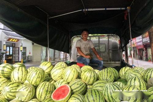 路边吃瓜青年,揭秘当代年轻人的社交新风尚