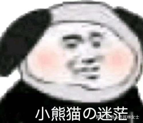 熊猫一二吃瓜表情包,趣味横生的网络文化现象