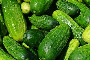 梦见吃瓜精灵,揭秘吃瓜精灵的神秘诱惑