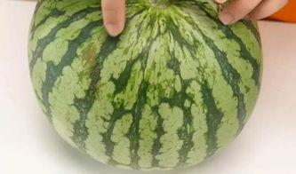 吃西瓜留瓜心,品味夏日甜蜜，传承传统智慧