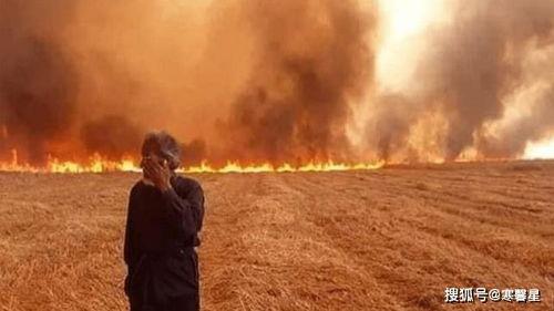 叙利亚吃瓜知乎