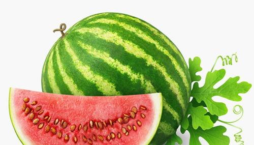吃瓜降温,吃瓜降温，畅享清凉一夏
