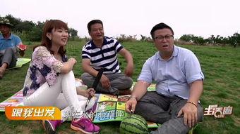 吃瓜群众群宜昌,揭秘城市生活百态