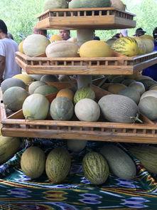 吃瓜观众的做法,揭秘网络围观背后的心理与行为