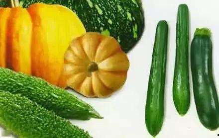 吃瓜家族6,揭秘娱乐圈背后的秘密与真相