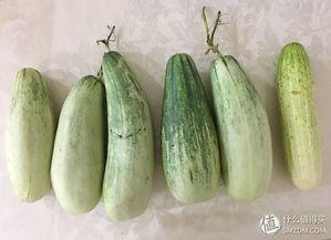 从吃瓜变成被吃瓜,角色反转的奇妙旅程