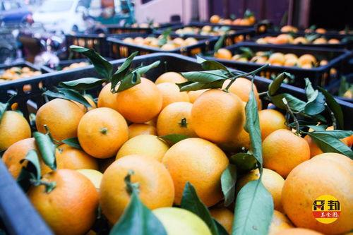 云顶新耀吃瓜,揭秘娱乐圈的“吃瓜”风云