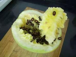 籽瓜热着吃,冬日暖胃的甜蜜诱惑