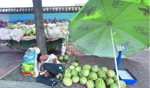 全家出动围观吃瓜,一场全民吃瓜盛宴