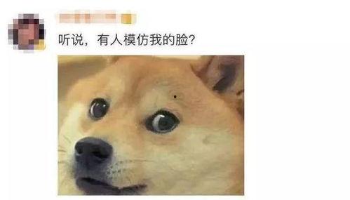 吃瓜加油汗天啊,吃瓜加油，感受汗水与热情的交织