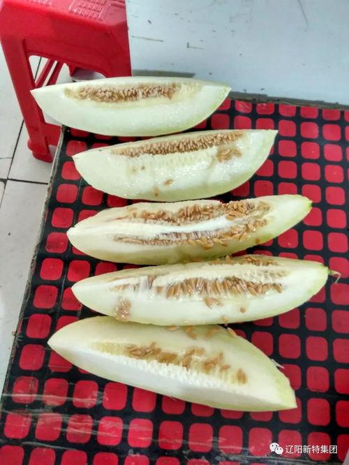 吃瓜要带盆,盘点那些“盆”级瓜事