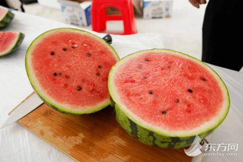 吃瓜第一西安,揭秘网红美食背后的故事