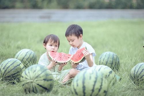 人形娃娃吃瓜,人形娃娃的夏日吃瓜盛宴