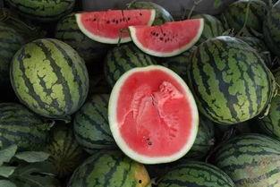 趴门上吃瓜,揭秘娱乐圈背后的故事