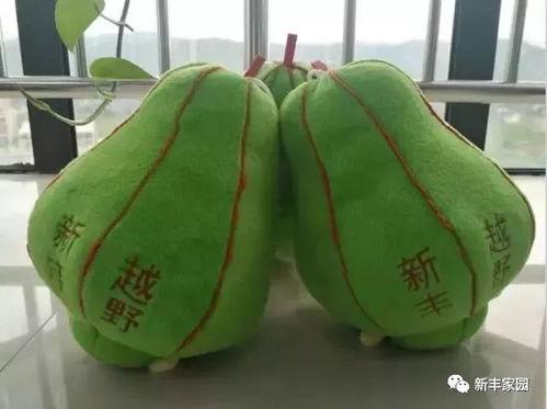 绿色圆形瓜咋吃,绿色圆形瓜的多样食用方法揭秘