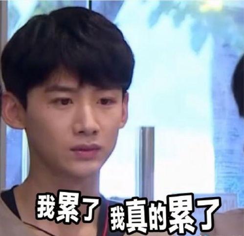 遂昌吃瓜绯闻事件,一场网络舆论的风暴与反思