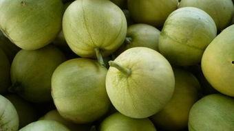 知情吃瓜人事,吃瓜群众的幕后故事