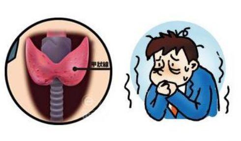 甲减吃瓢瓜,天然食材改善甲状腺健康之道