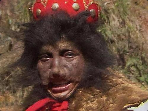 黑熊精吃瓜,一场奇幻的食瓜之旅