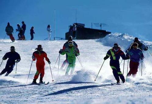 滑雪教练吃瓜视频