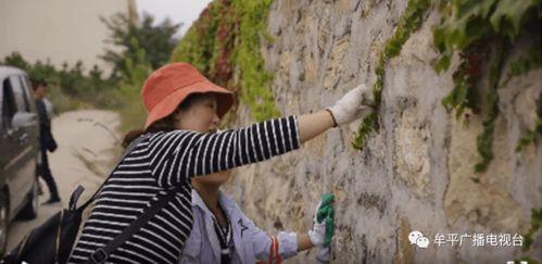 吃瓜少年田野君