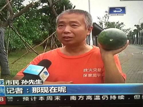 潮阳吃瓜群众事件最新