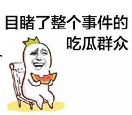 带你吃瓜1997,揭秘那段风云变幻的娱乐圈往事